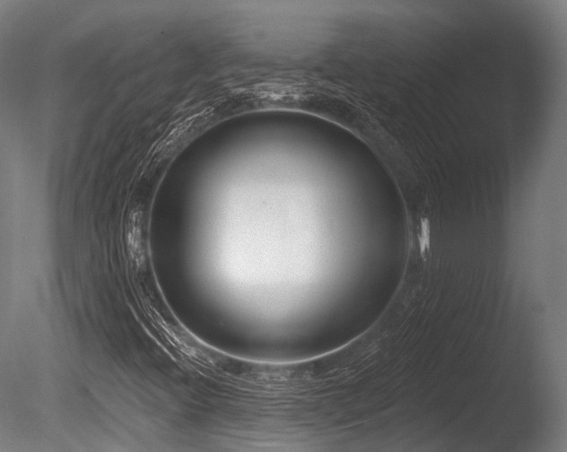 X0000086101396200703231422