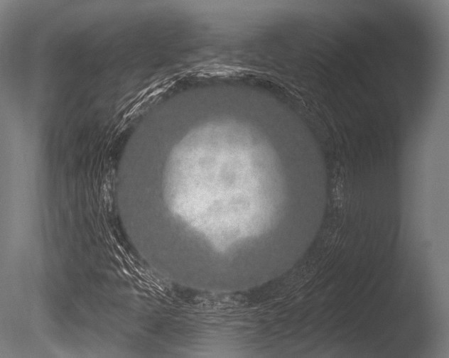 X0000086101397200703231422