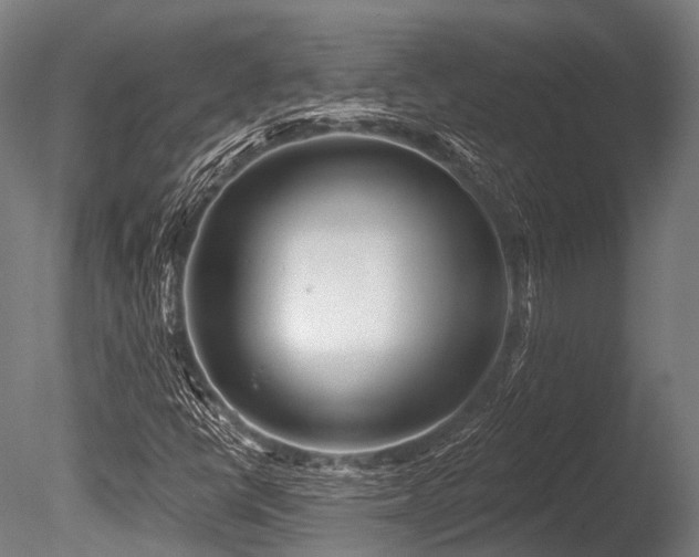 X0000086101398200703231422