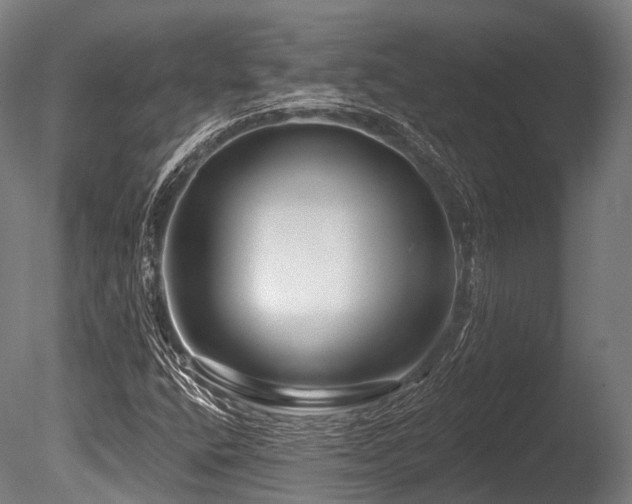 X0000086101400200703231422