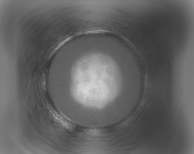 X0000086101401200703231422