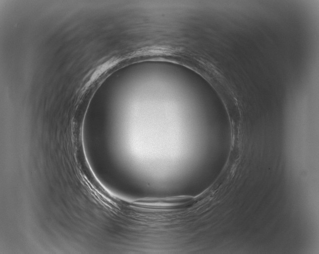X0000086101404200703231422