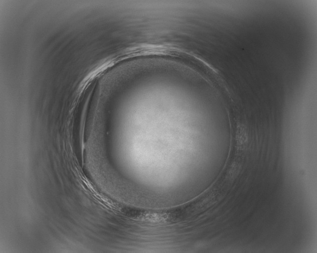 X0000086101411200703231422
