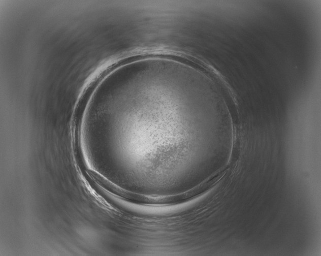X0000086101416200703231423
