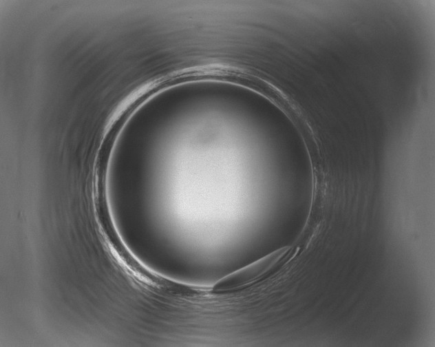 X0000086101418200703231423