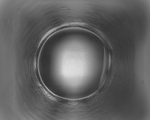 X0000086101420200703231423