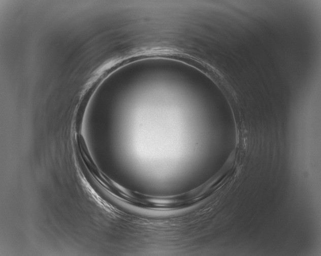 X0000086101422200703231423