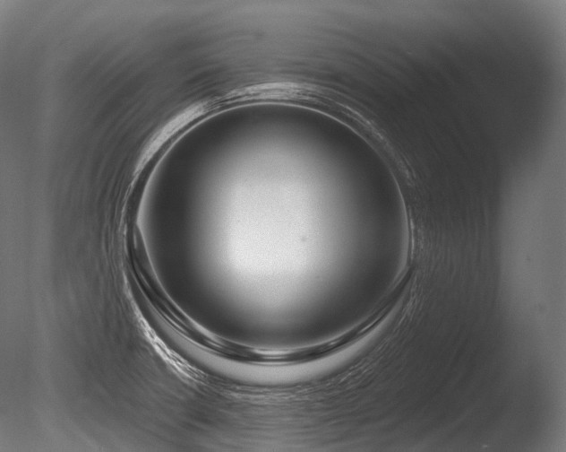 X0000086101426200703231423