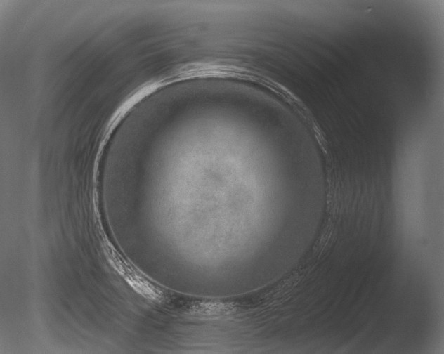 X0000086101427200703231423