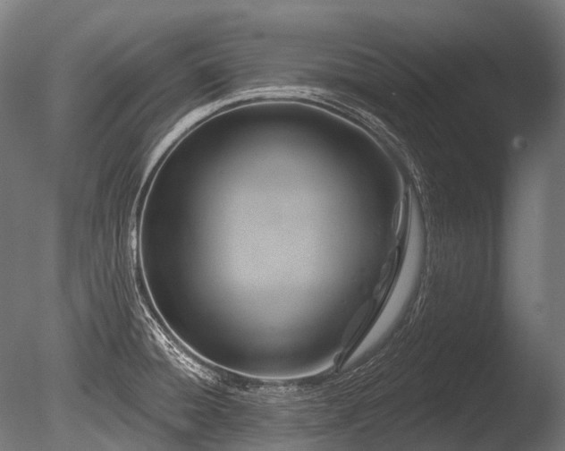 X0000086101428200703231423