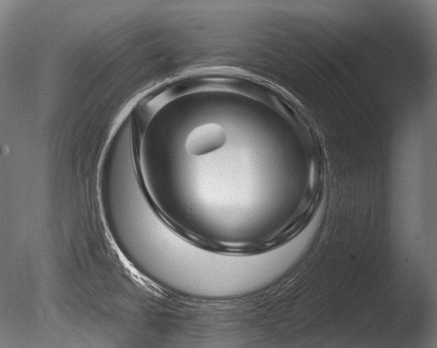 X0000086101430200703231423