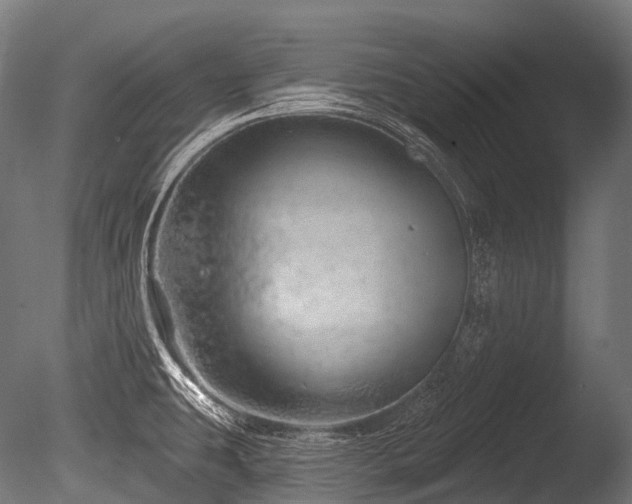 X0000086101431200703231423