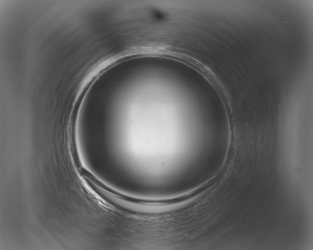 X0000086101432200703231423