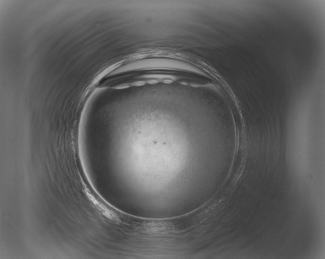 X0000086101433200703231423