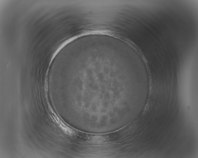 X0000086101436200703231423