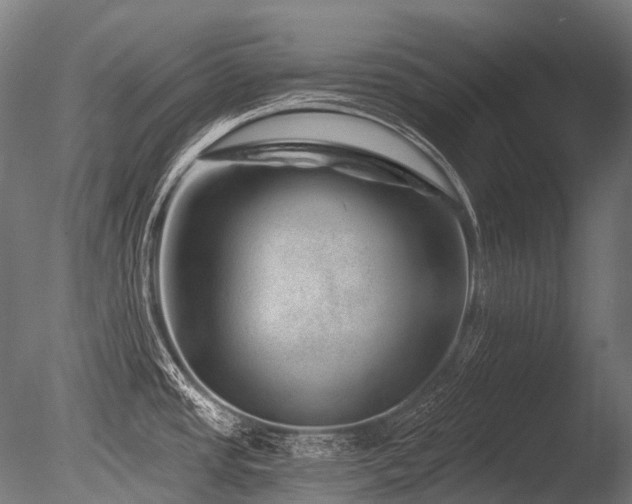 X0000086101437200703231423