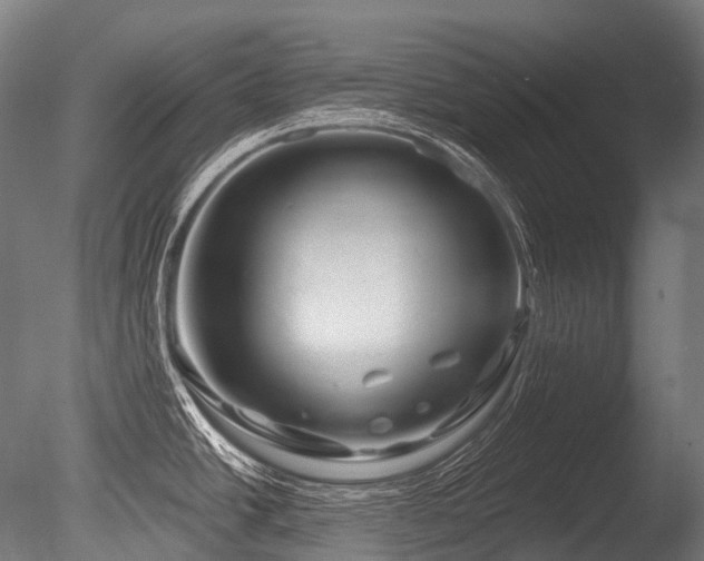 X0000086101438200703231423