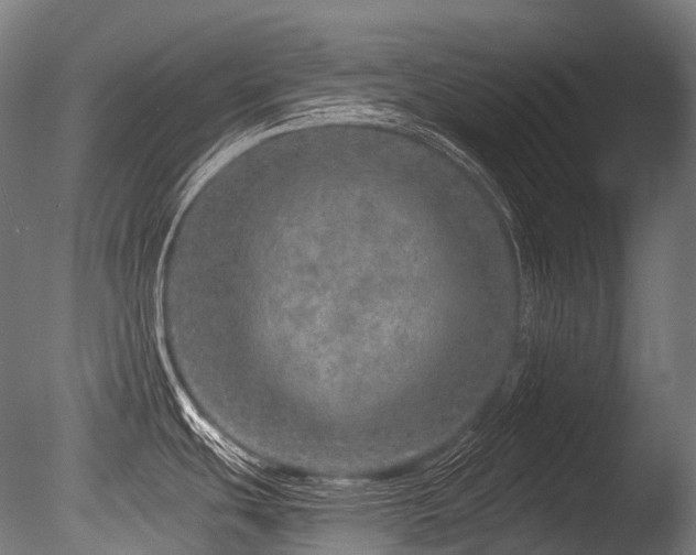 X0000086101439200703231423