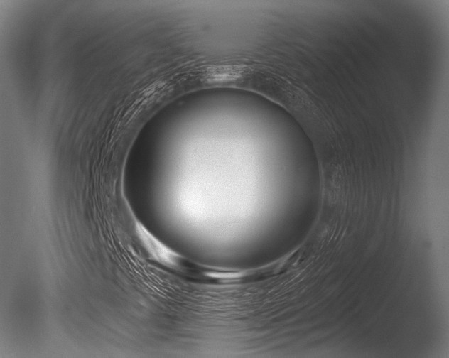 X0000086101441200703231422