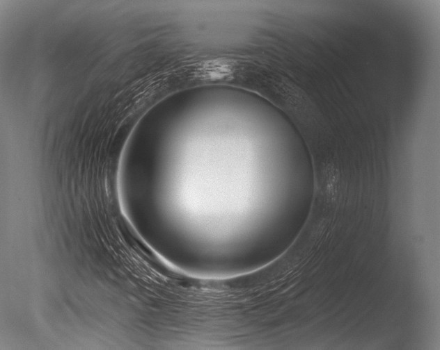 X0000086101442200703231422