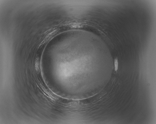 X0000086101444200703231422