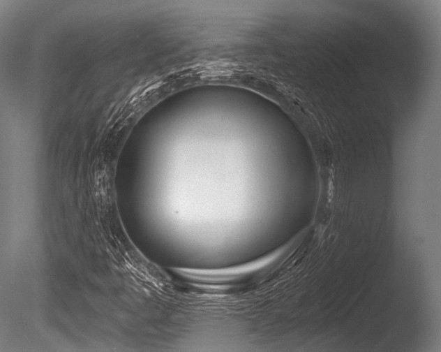 X0000086101445200703231422