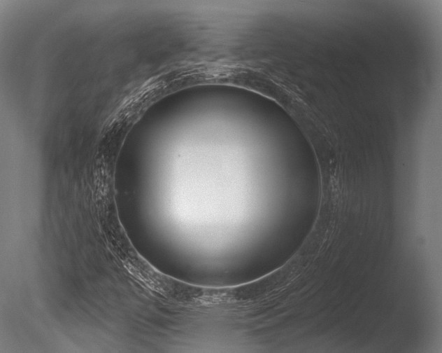 X0000086101447200703231422