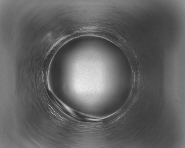 X0000086101449200703231422