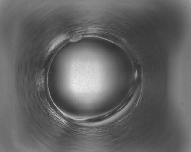X0000086101450200703231422