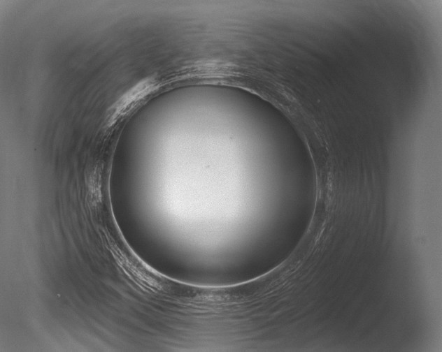 X0000086101451200703231422