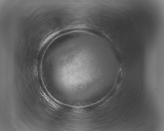 X0000086101452200703231422