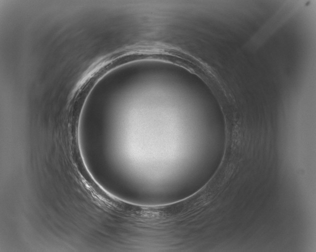 X0000086101456200703231422