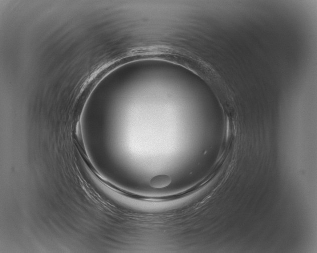 X0000086101457200703231422