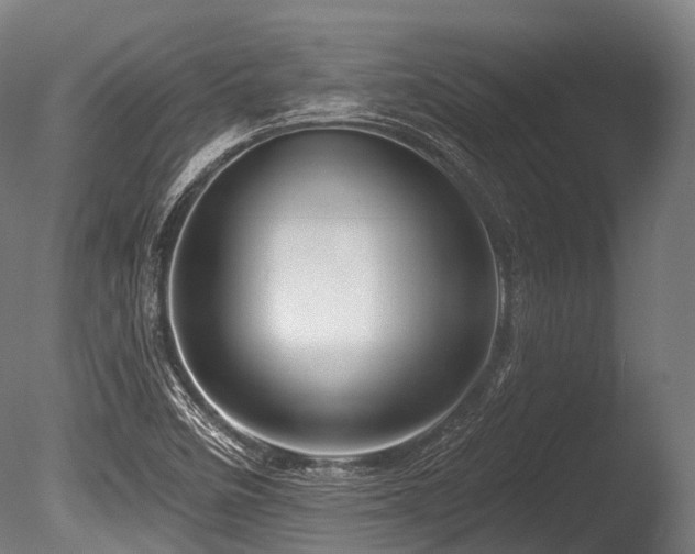 X0000086101458200703231422