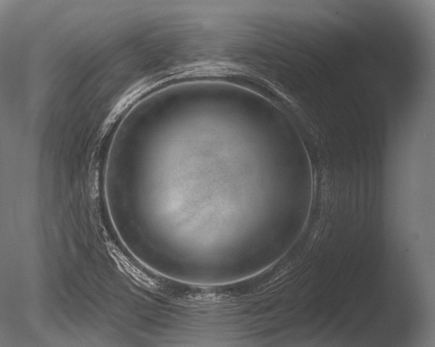 X0000086101459200703231422