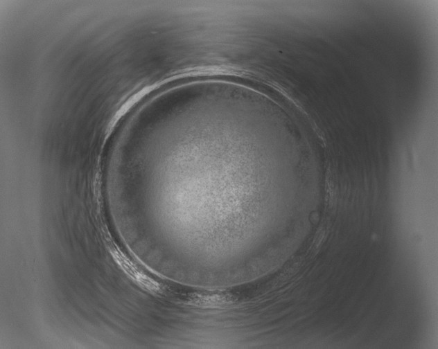 X0000086101460200703231422