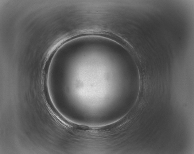 X0000086101463200703231422