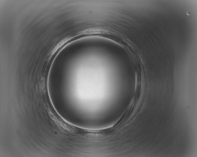 X0000086101465200703231422