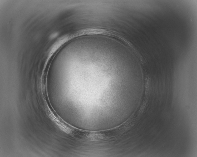 X0000086101466200703231422