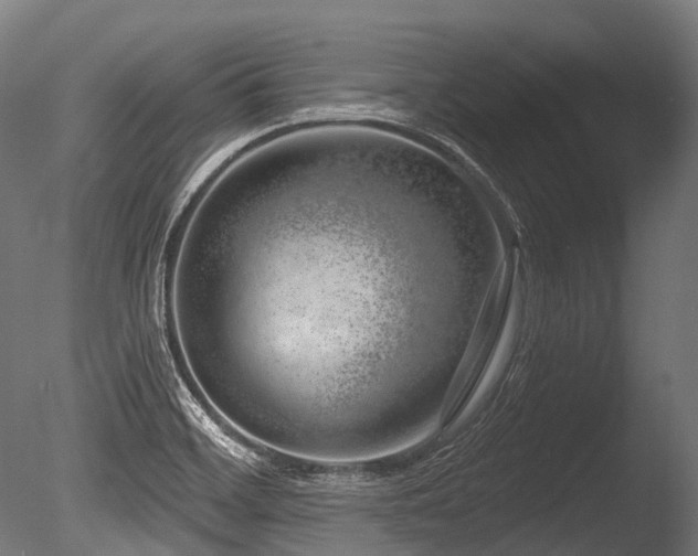 X0000086101468200703231422