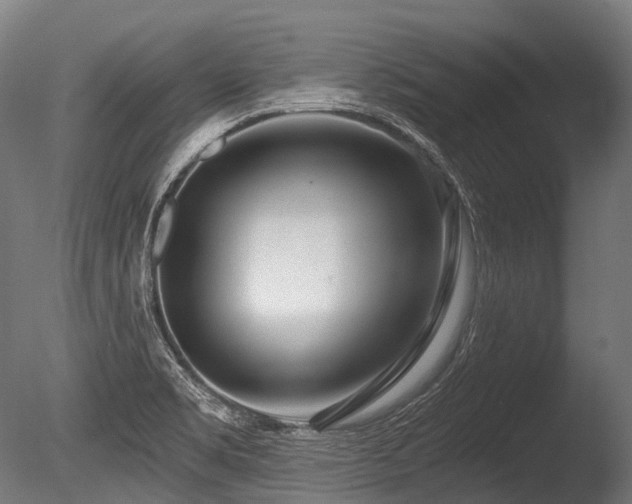 X0000086101469200703231422