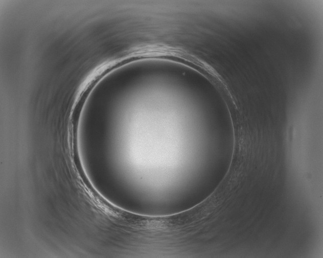 X0000086101472200703231422