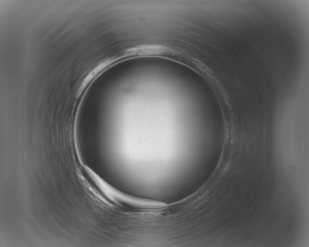 X0000086101473200703231422