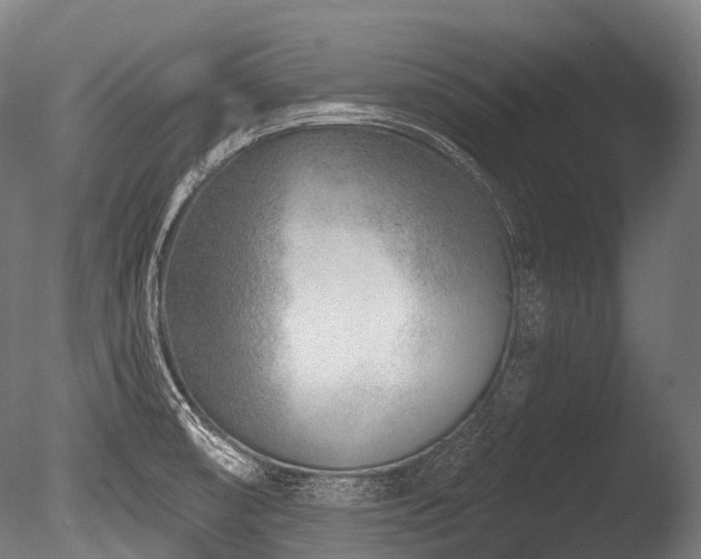 X0000086101474200703231422