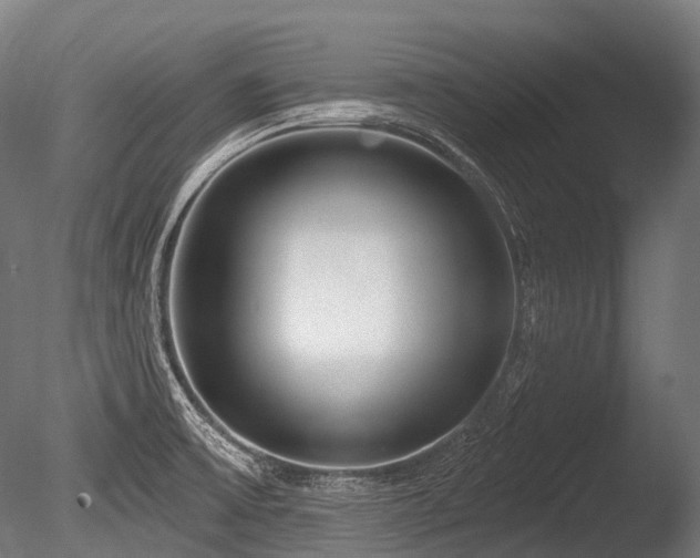 X0000086101475200703231421