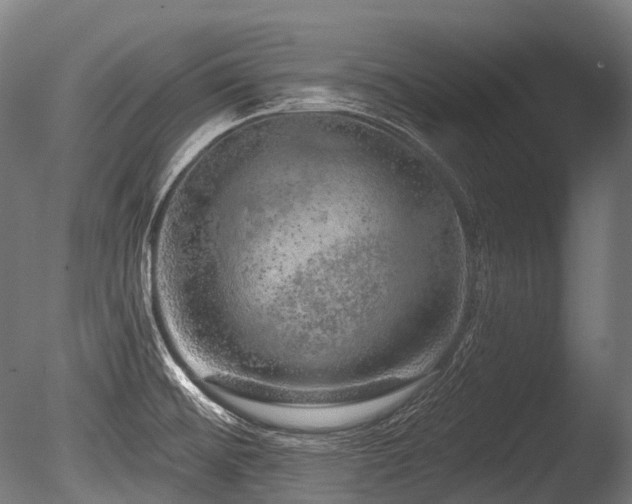 X0000086101476200703231421