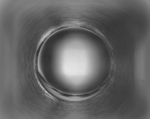 X0000086101477200703231421