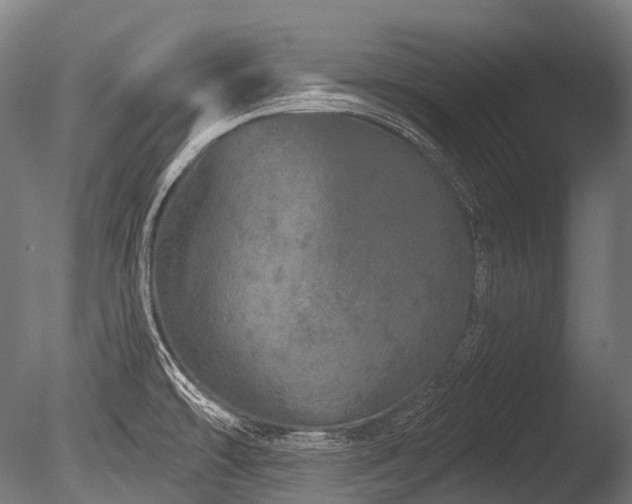 X0000086101478200703231421
