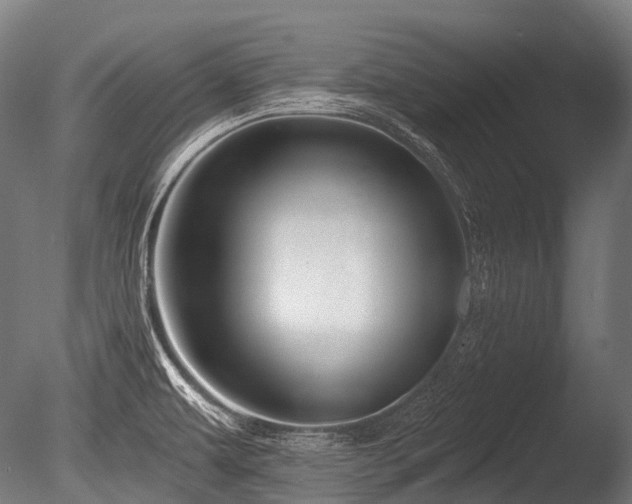 X0000086101479200703231421
