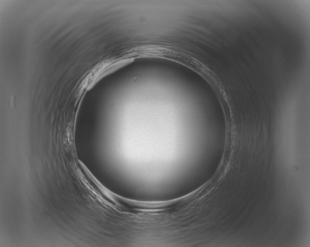 X0000086101481200703231421
